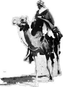 Lawrence of Arabia