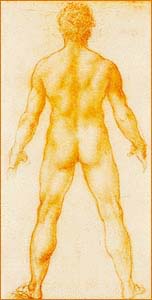 Leonardo da Vinci Nude